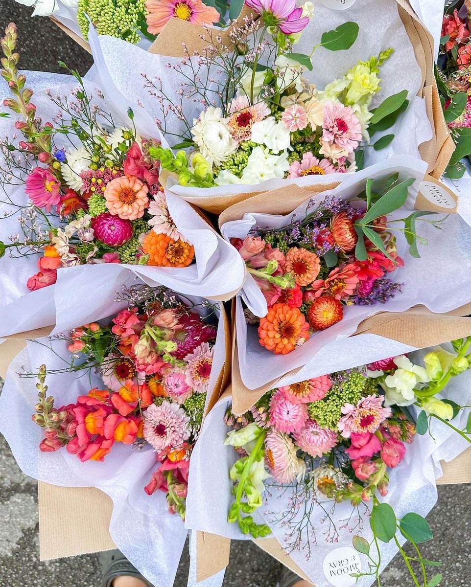 livinginstyle26's tweet photo. bring me flowers https://t.co/tJrqK1dQKc