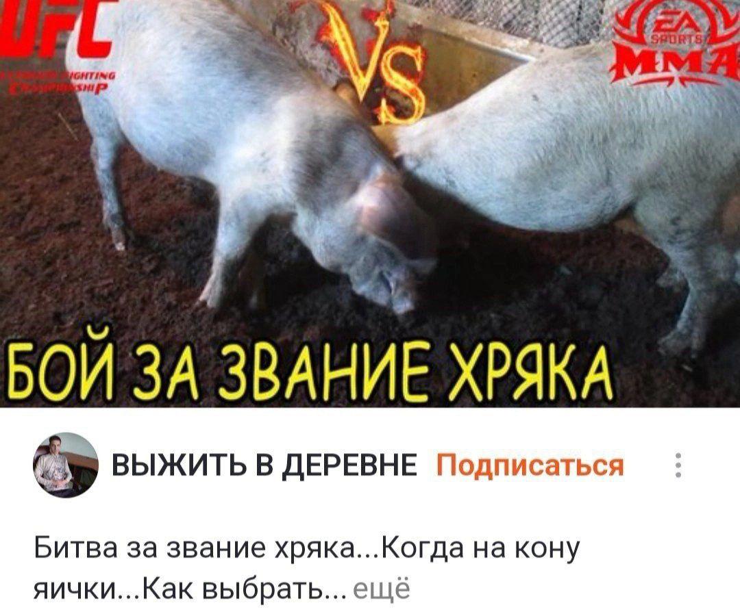 Вулик tweet media