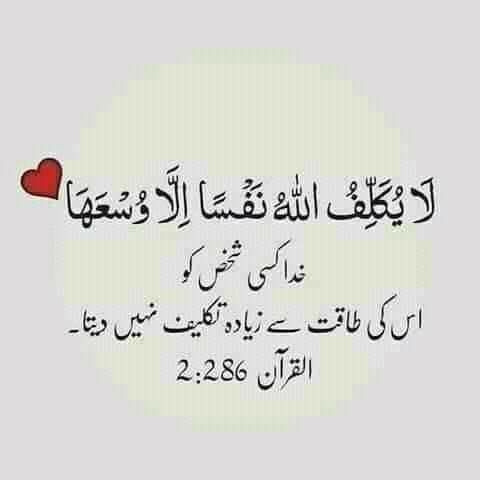 LovelyK98940254's tweet photo. #beshak https://t.co/uX9GOZdc5f