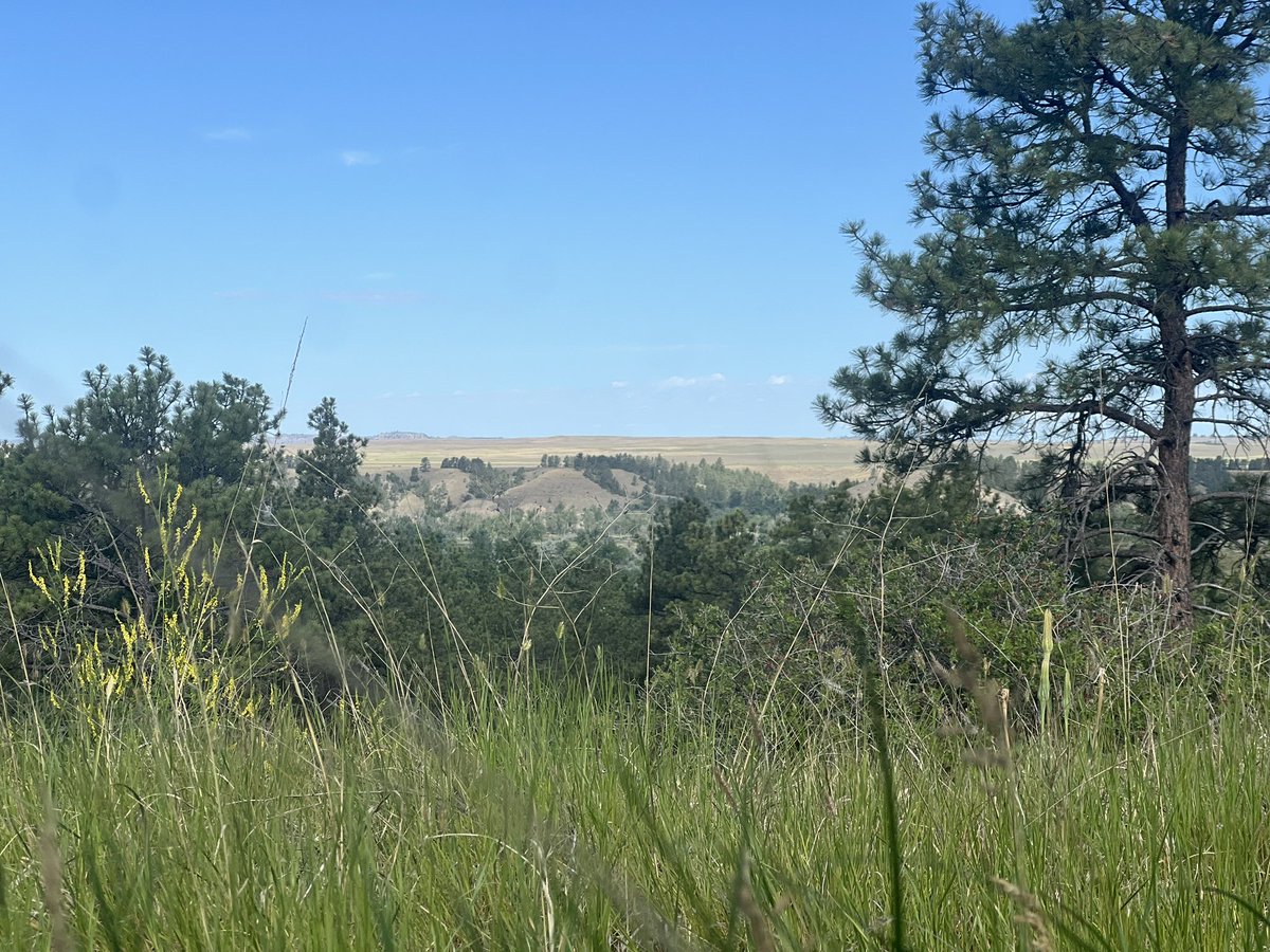 ShimmerWolfy's tweet photo. Montana… i’m super in love with you 🥹 https://t.co/Xvhy3bnRqK
