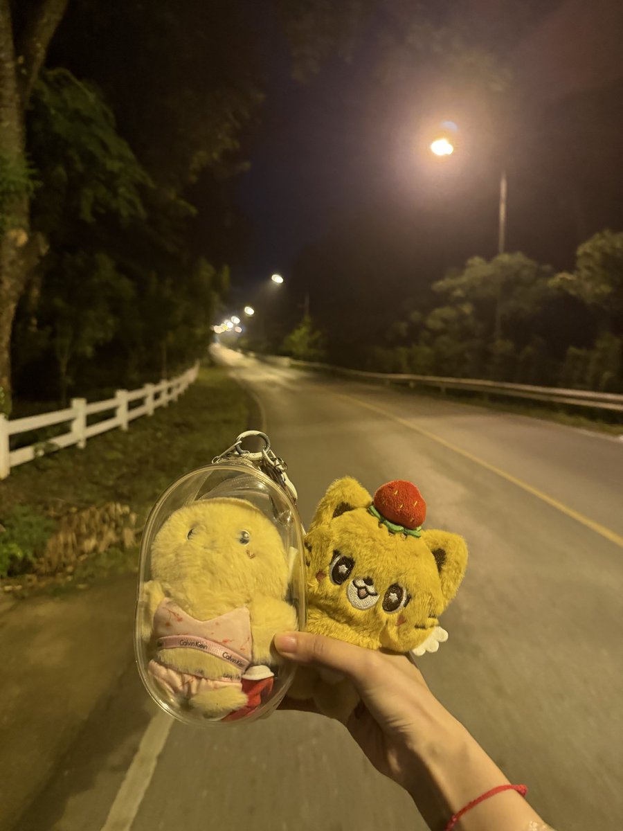 CMX3CM's tweet photo. @linglingsirilak 走了一遍 https://t.co/HFtgvENR7H