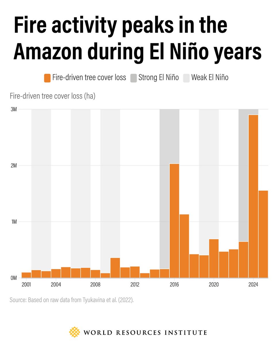 WorldResources's tweet photo. In South America, El Niño tends to reduce rainfall during the wet season, leaving the subsequent dry season even more arid and fire-prone. This is particularly true in the Amazon, where forests are not well-adapted to fire. 

WRI experts answer questions on what a Super El Niño could mean for water, food and forests and how communities can prepare👉 https://t.co/xaOCY7QooX