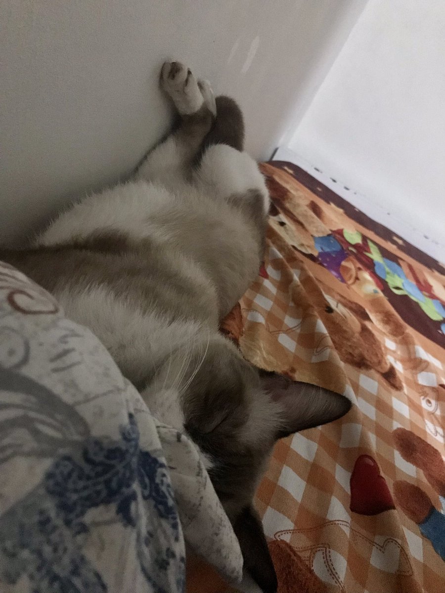 Dadalinay's tweet photo. thank you lord my baby dodong is finally okay na🥺 https://t.co/wVnRWEJkKU