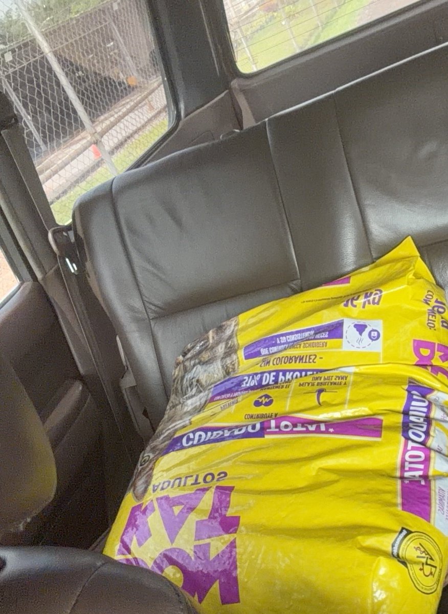 ayudemosapluto's tweet photo. Your donations make this possible 🙏🏻♥️ The babies arriving at the shelter and receiving 78 kg of protein, enough for approximately 8 days. We also bought a bag of cat food for the shelter dogs who had run out of food. Thank you all for your support; now we'll need more help to continue helping. God bless you today and always.