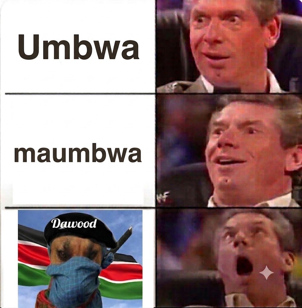Ⓜ️Kipsomaniat™️ tweet media
