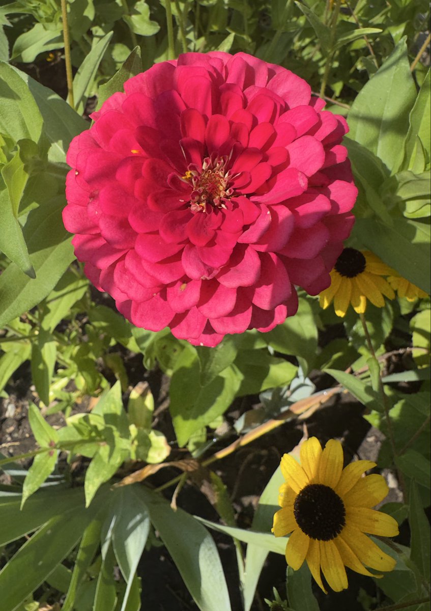 breatheawhile's tweet photo. Bloom anyway https://t.co/qetwqn9hhK