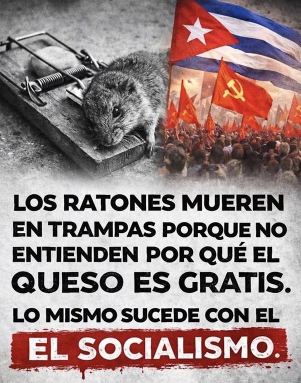 BirreteyToga's tweet photo. https://t.co/yaHIT2bhVg