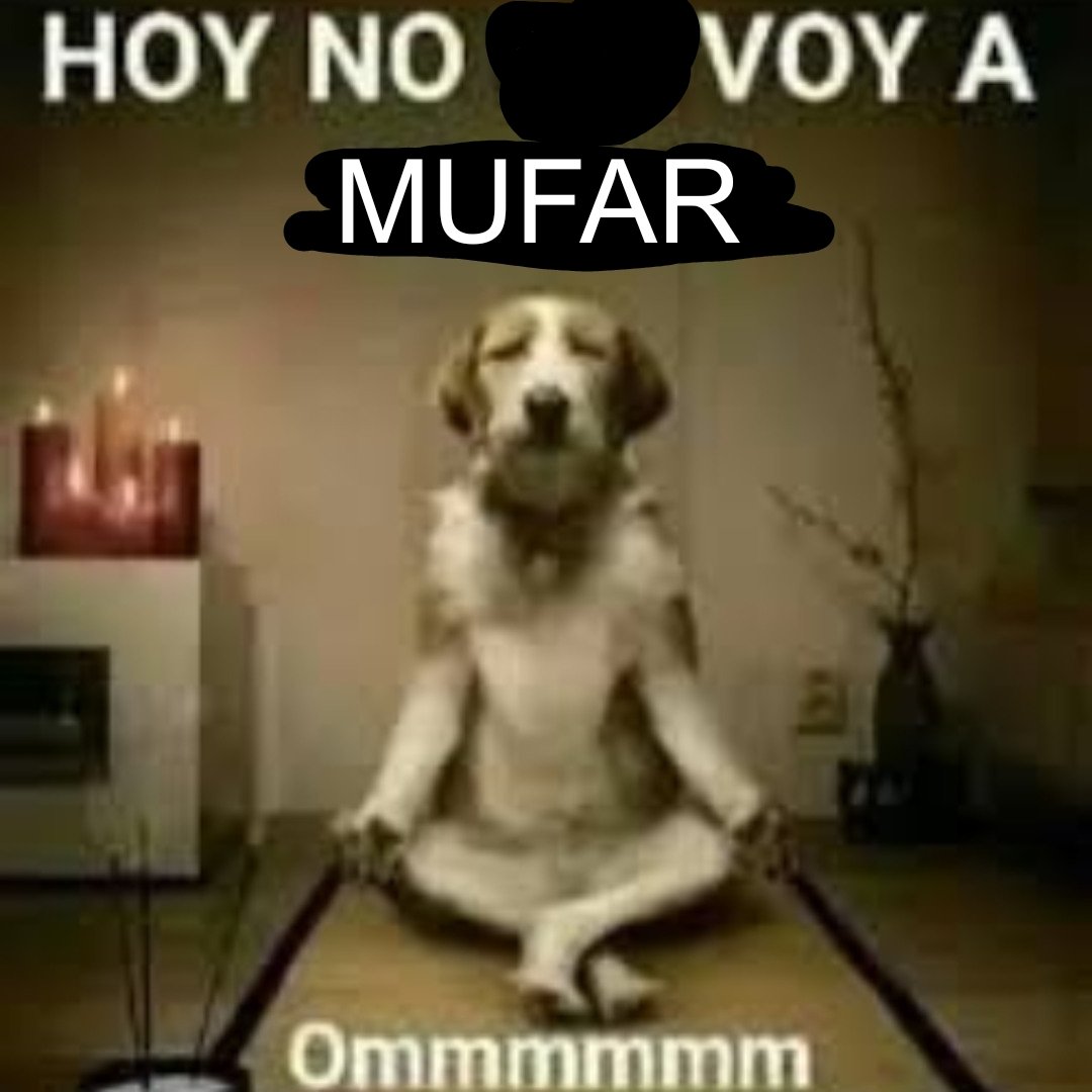 Doggo_CTM's tweet photo. Ya quien sabe cuantas veces mufe en este mundial, así que hoy no voy a opinar de ningún partido hasta que se acaben https://t.co/BRVYsI19n8