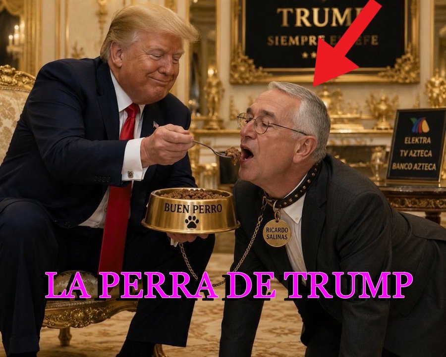 Amlo1000's tweet photo. Le toca la vacuna del moquillo a #laperritadetump https://t.co/VU8Di2LtVA