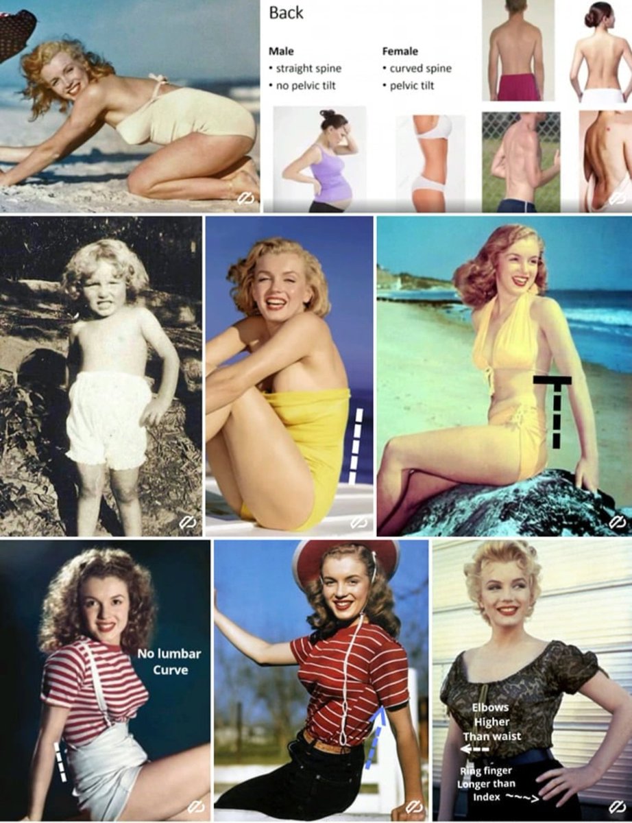 369Earth432Hz's tweet photo. @OutsourcedAgai1 @MAVERIC68078049 @grok Do you really believe that celebrities like Marilyn Monroe could have been exceptions? 🤭🙃✌🏻🖖🏻🏳️⚧️🏳️🌈
#EGI
#Forensics https://t.co/N2LlIqj8O7