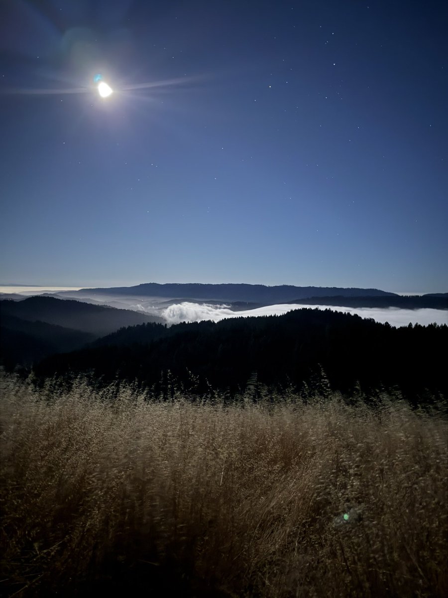 MattMolinar's tweet photo. 🌕 full moon https://t.co/zFDkr3Gqvq