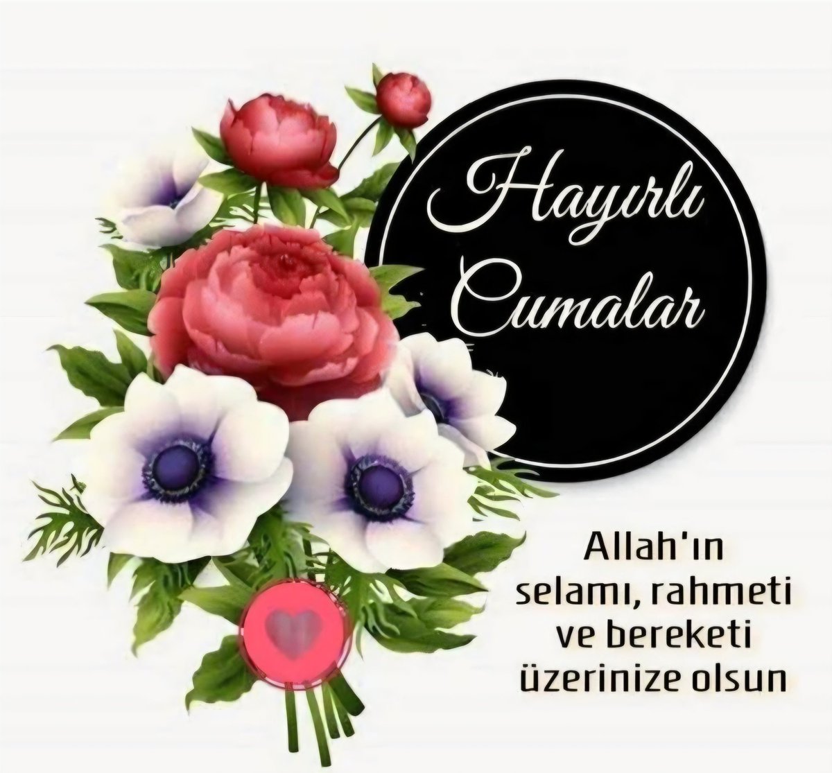 cince5838's tweet photo. #Israrla ve inanarak
#Dua etmekten vazgeçme...
#Kul ümit eder,
#Allah nasip eder.
#Hayirlicumalar https://t.co/tZEvNvjHaL