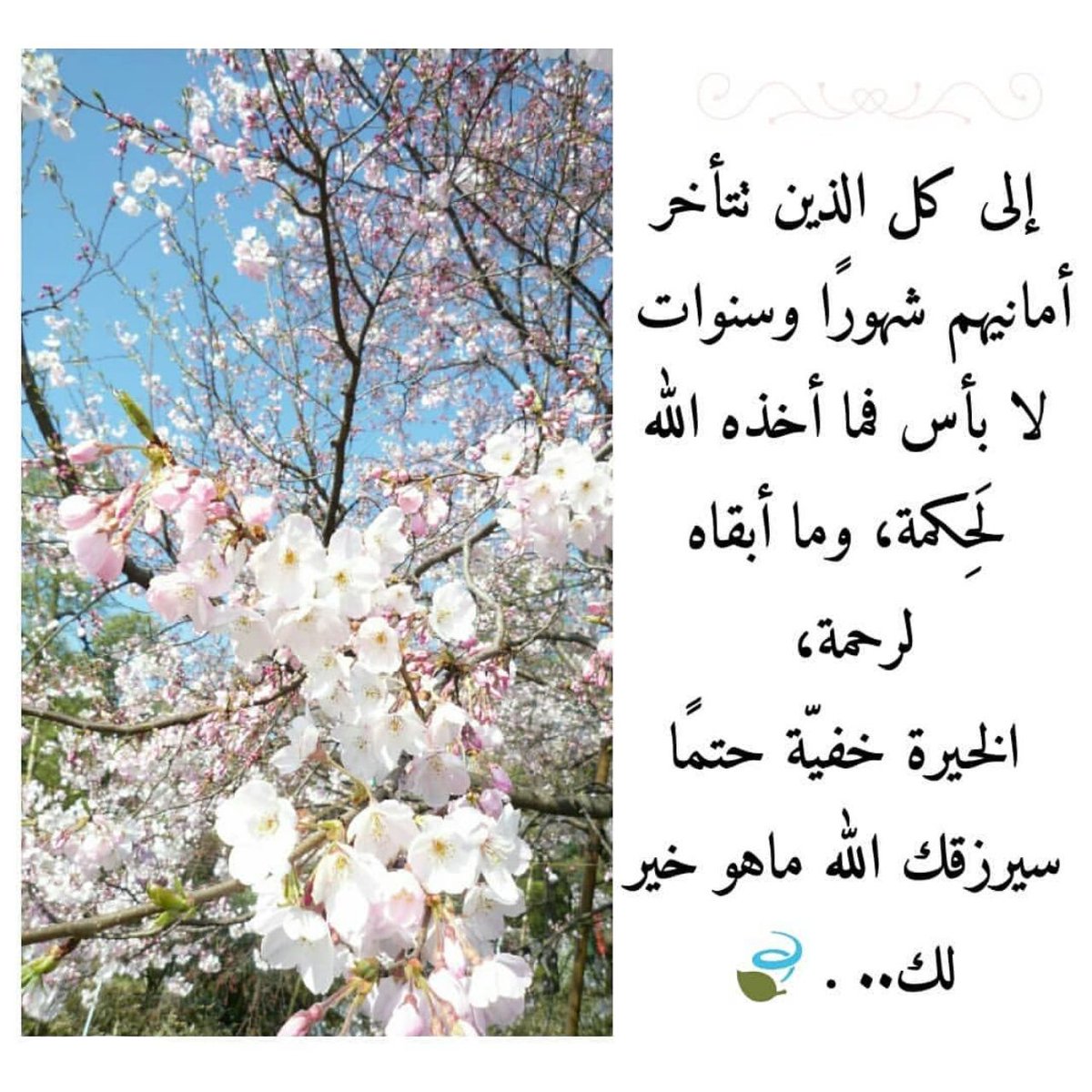 HaiderKarar91's tweet photo. -
توكل على الله ولا تحزن : هناك أمل جديد يلوح من بعيد، فلا تيأس، وانتظر فرج عظيم سيأتيك قريباً📚🎓

Trust in God and do not be sad: there is new hope waving from afar,do not despair,and wait for a great https://t.co/dePUeyUHcM