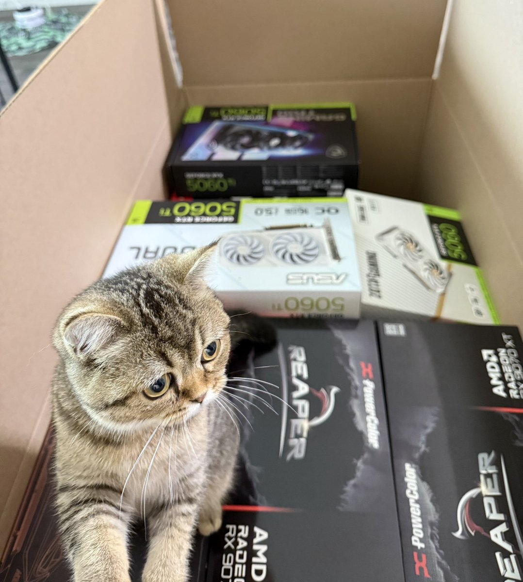Twelf_TD's tweet photo. New builds on the Way!! ๐ฉ๐ปโ๐จ๐จ๐ปโ๐จ
#TWELFPC #Gamingsetup #GPU #AMD #NVIDEA https://t.co/ZPfwInOfFy