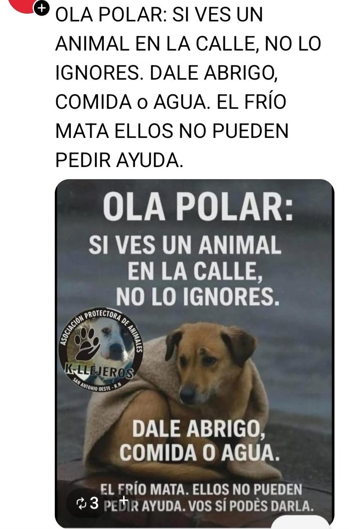 Susanalaura6's tweet photo. Por Favor 🙏🙏🙏 https://t.co/deXnmB1SNQ
