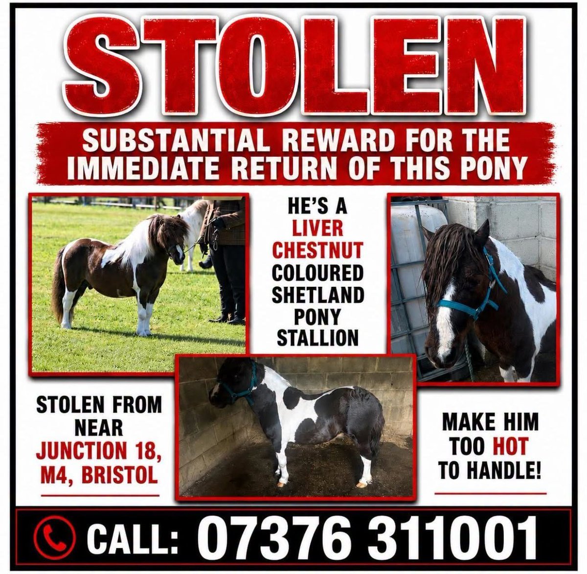 millypod1's tweet photo. CHIP HOME SAFE. THANKS FOR RT's 😊🐴🧲
🆘29 JUNE 2026 #STOLEN Chip #ScanMe
Shetland Pony Male
My yard #Yate #Bristol #BS37
South #Gloucestershire nr #M4 Motorway, Junction 18 https://t.co/DvrLgS4NA4 https://t.co/eL09qBelgn