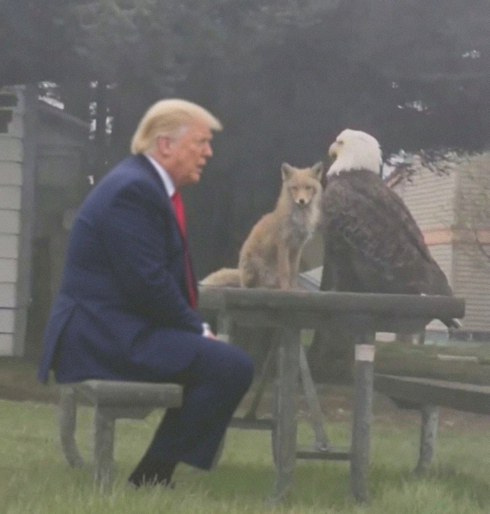 TheRoyalSerf's tweet photo. https://t.co/WrdgE1QlJy