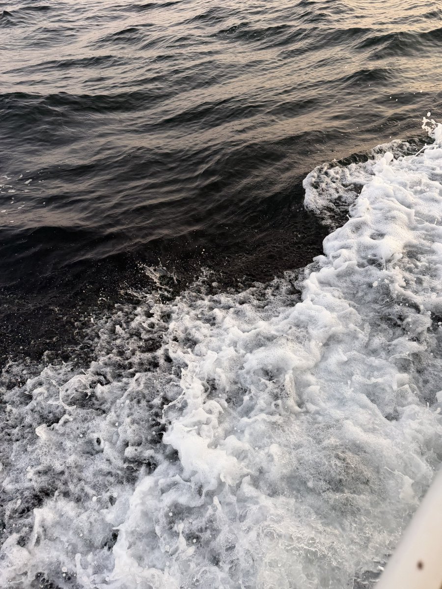 1Rubal's tweet photo. -  𝐽𝑢𝑠𝑡 𝑚𝑒, 𝑡ℎ𝑒 𝑠𝑒𝑎, 𝑎𝑛𝑑 𝑎 ℎ𝑜𝑟𝑠𝑒  
🐎 🌊 ♥️ https://t.co/WsZV0Qk9sU