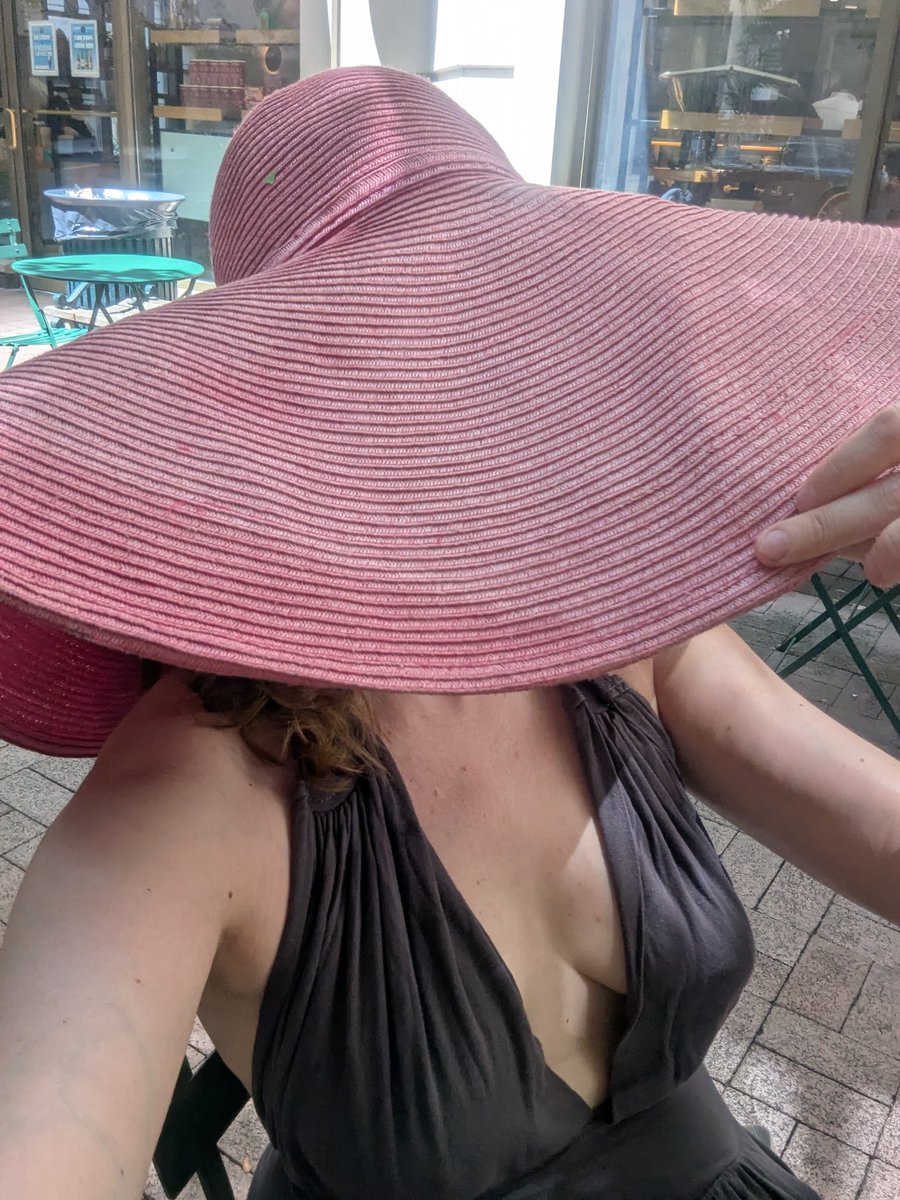 Ladysupernova2's tweet photo. The best way to beat the New York City heat is to wear a hat you can see from space #nyc #NYCLife https://t.co/00dB7oBfZ4