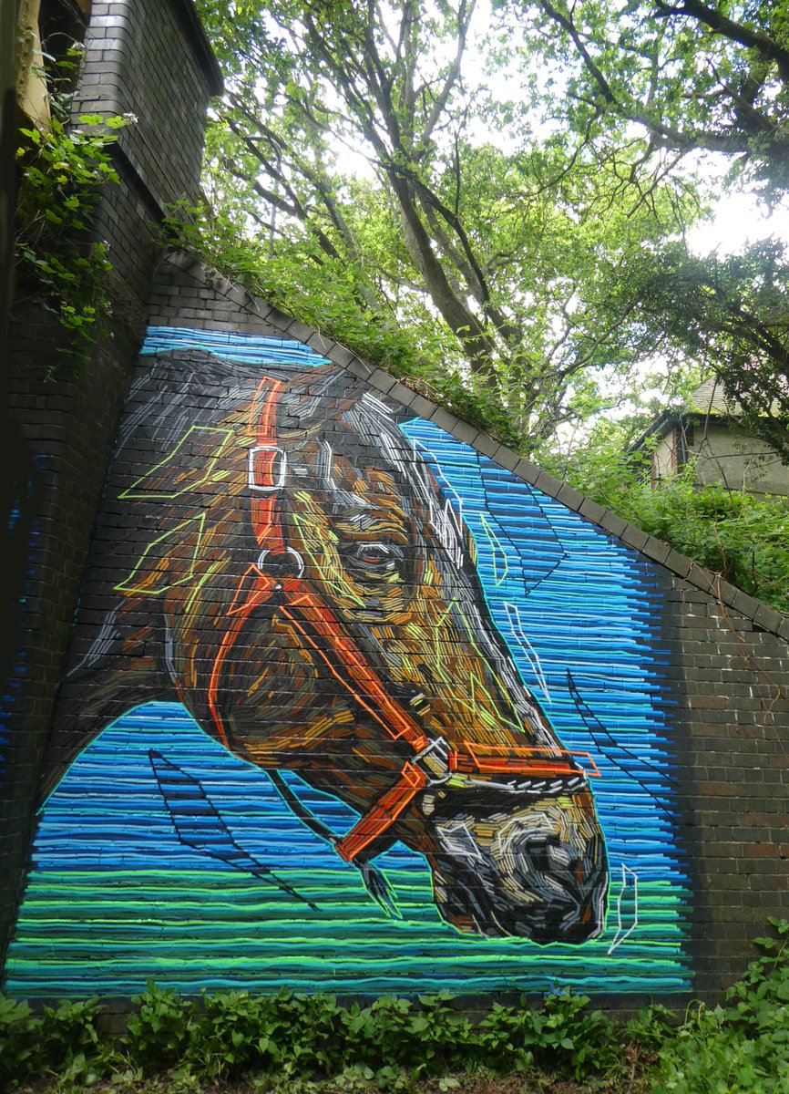 GRAFFOFLARGE's tweet photo. HORSE ...long overdue Equine one........@horseandhound  @EquineJournal  @farm #horse #streetart #farmlife #equine https://t.co/oiJpzDuJf0