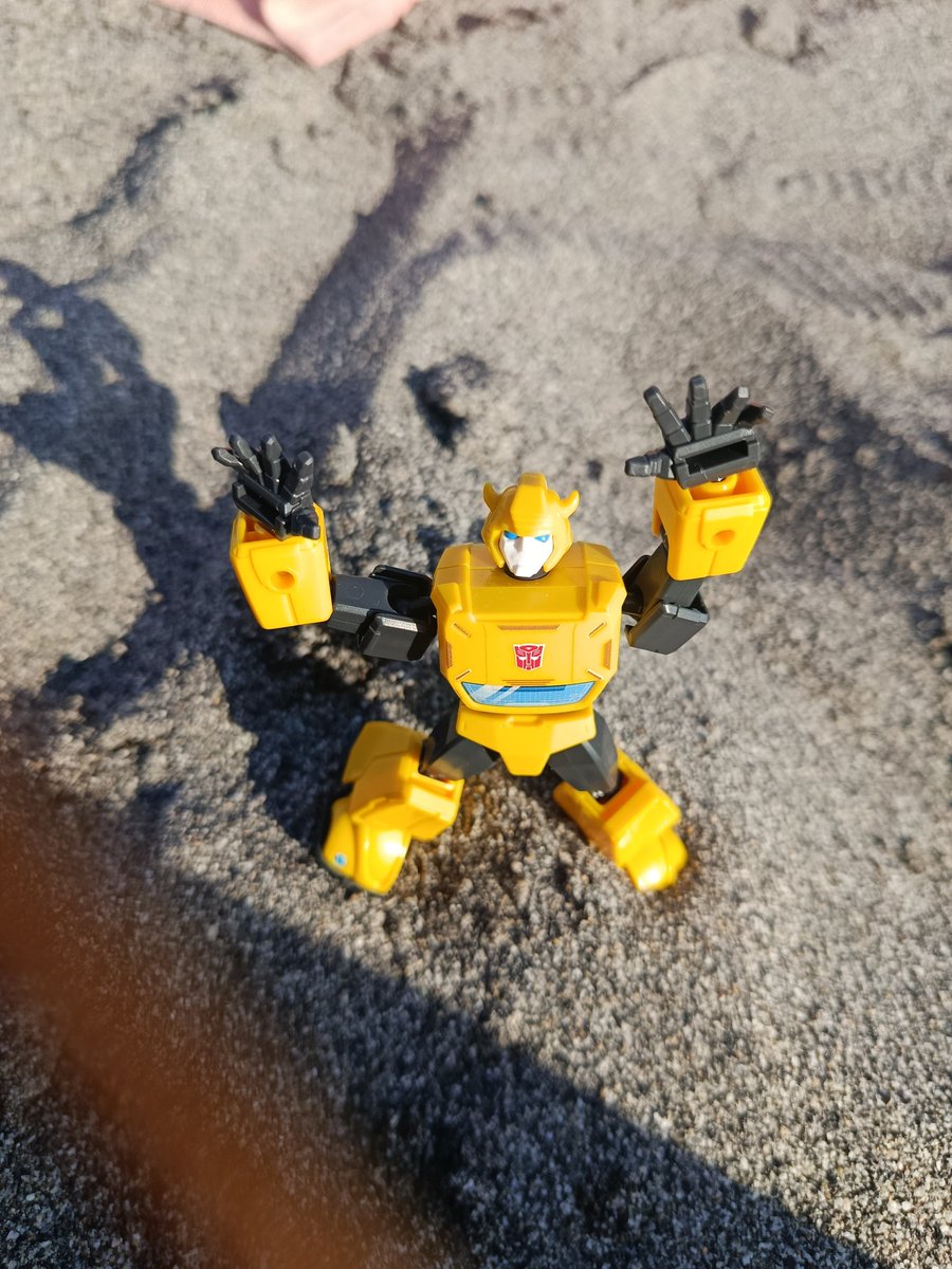 SylveonFrancy's tweet photo. first day of beach vacation!he couldn't wait,it's going to be a really cool month of vacation ✨✨✨
#Transformers #Transformersfigures #Transformersbumblebee #Figure
#bumblebee #collection #actionfigures https://t.co/XGuo444gWw