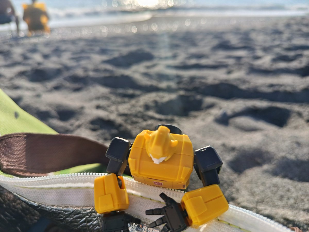 SylveonFrancy's tweet photo. first day of beach vacation!he couldn't wait,it's going to be a really cool month of vacation ✨✨✨
#Transformers #Transformersfigures #Transformersbumblebee #Figure
#bumblebee #collection #actionfigures https://t.co/XGuo444gWw
