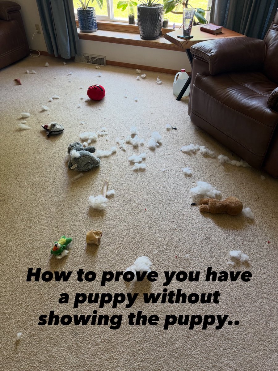 Brian_Eisel's tweet photo. Not sure if there’s a dog in the house? There will be signs. https://t.co/a032t97jyQ