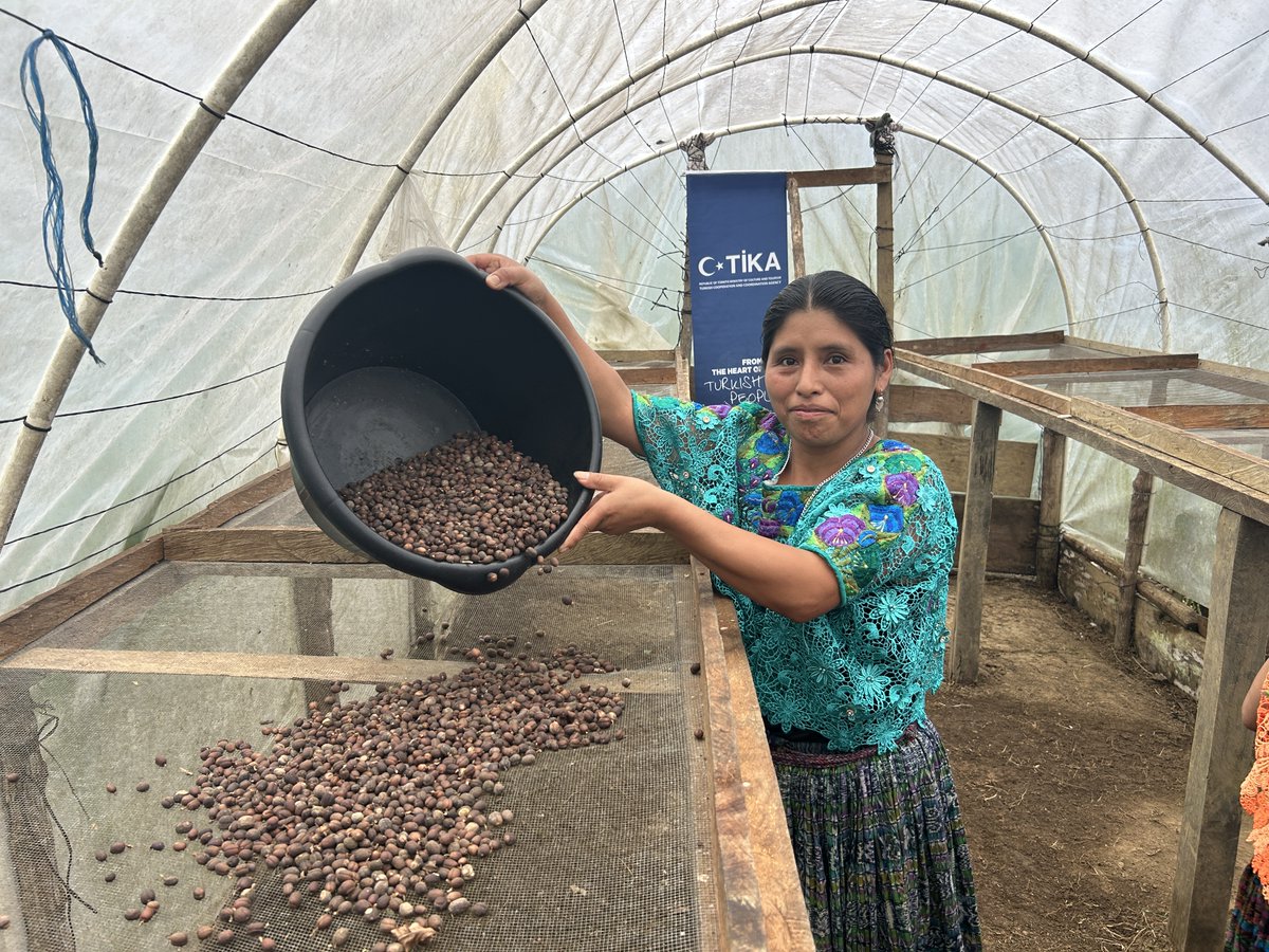 munal06's tweet photo. @Tika_Turkiye carried out repair of coffee drying tunnels &amp; construction of more durable ones in Alta Verapaz/Guatemala📍to increase the resilience of indigenous communities, earn their living from arabica coffee production against the negative effects of climate change. 🇹🇷 ☕️ 🇬🇹 https://t.co/4I41rPG4Yt