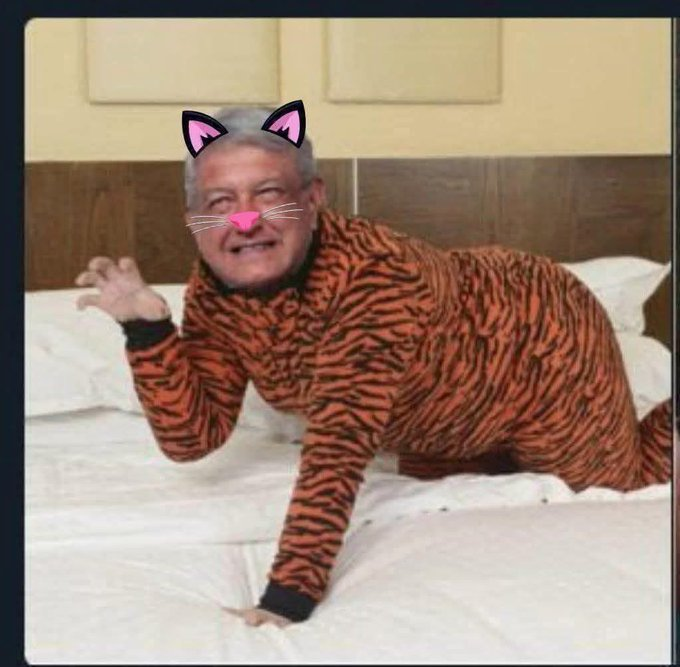 benson67's tweet photo. Se solto el #Tigre macuspano o la tigresa segun se vea https://t.co/zq3WIzmDWQ