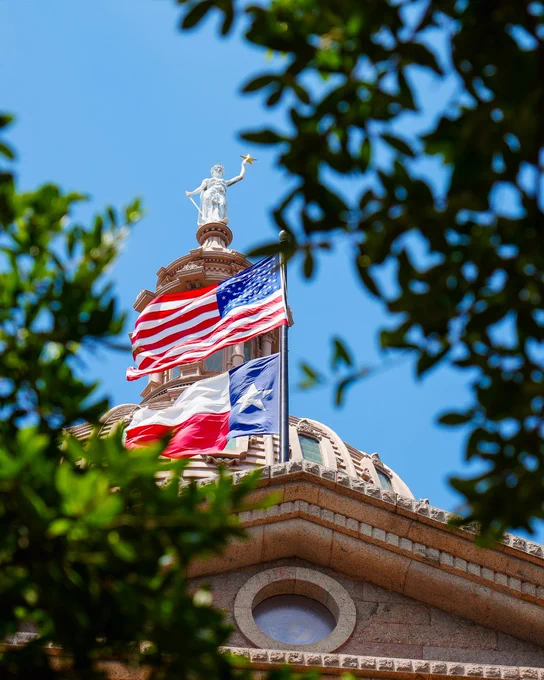 The dome of a grand building under a clear blue sky, framed by green leaves. An American flag and a Texas flag fly below a white statue of a woman holding a star, perched atop the dome. The building is made of reddish-brown stone.