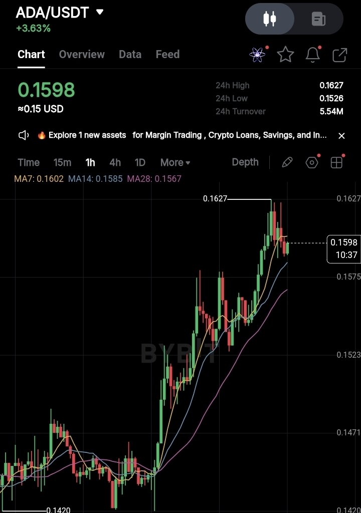 ManuelOnchain's tweet photo. Who is pumping $ADA 😳😳 https://t.co/2saeMeuPVW