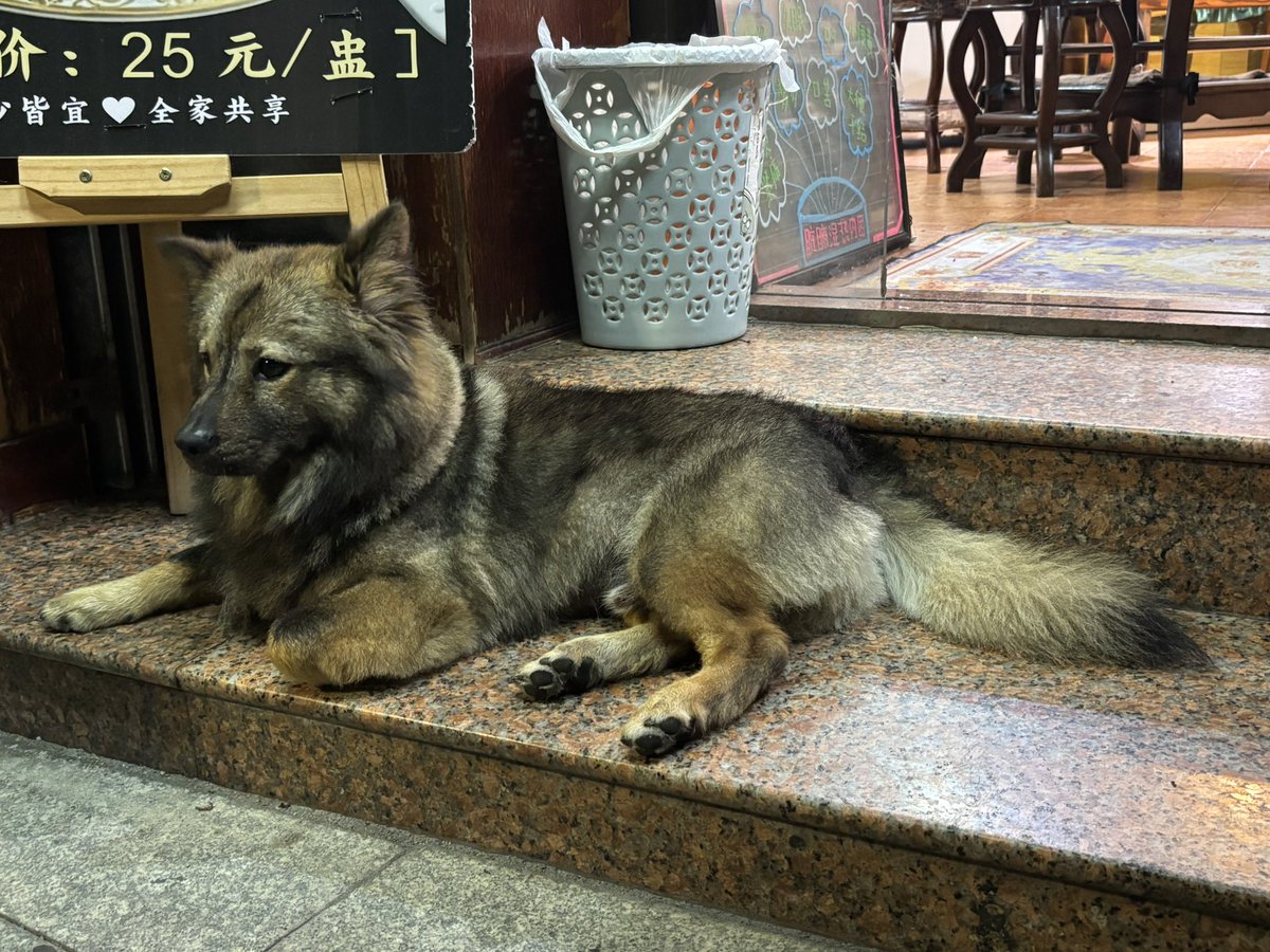 sake_1207's tweet photo. https://t.co/Szw2yPRfrp