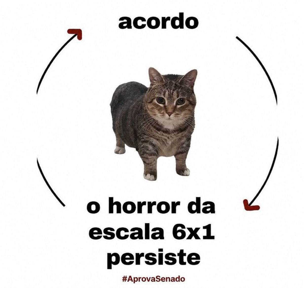 lulaverso's tweet photo. Acorda, trabalha, dorme e repete. Tá mais do que na hora de acabar com a escala 6x1✊🏽

#AprovaSenado https://t.co/bCHdXntUHr