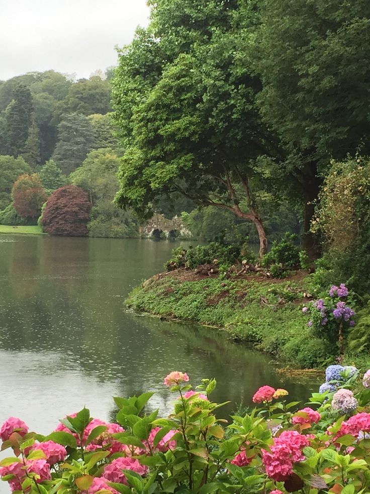 aestheticpost's tweet photo. Willows lean close to watch their own reflections while wisteria and hydrangeas bloom without asking permission. Some gardens simply know how to hold beauty still. https://t.co/4DyJypYwnh