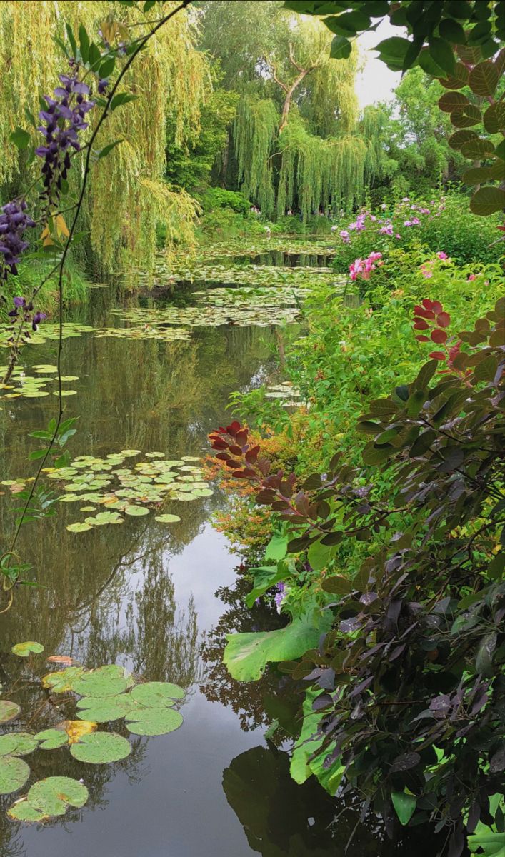 aestheticpost's tweet photo. Willows lean close to watch their own reflections while wisteria and hydrangeas bloom without asking permission. Some gardens simply know how to hold beauty still. https://t.co/4DyJypYwnh