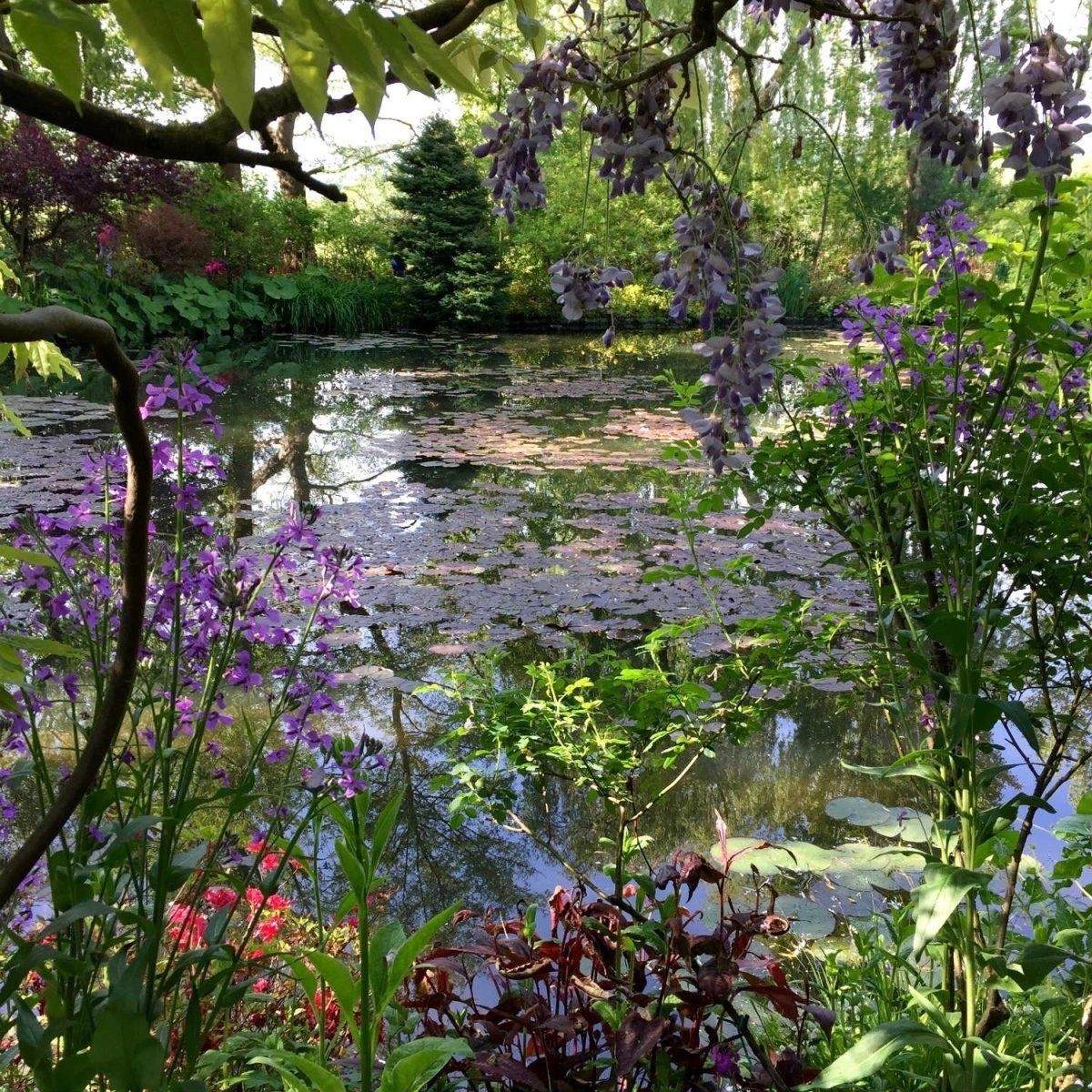 aestheticpost's tweet photo. Willows lean close to watch their own reflections while wisteria and hydrangeas bloom without asking permission. Some gardens simply know how to hold beauty still. https://t.co/4DyJypYwnh