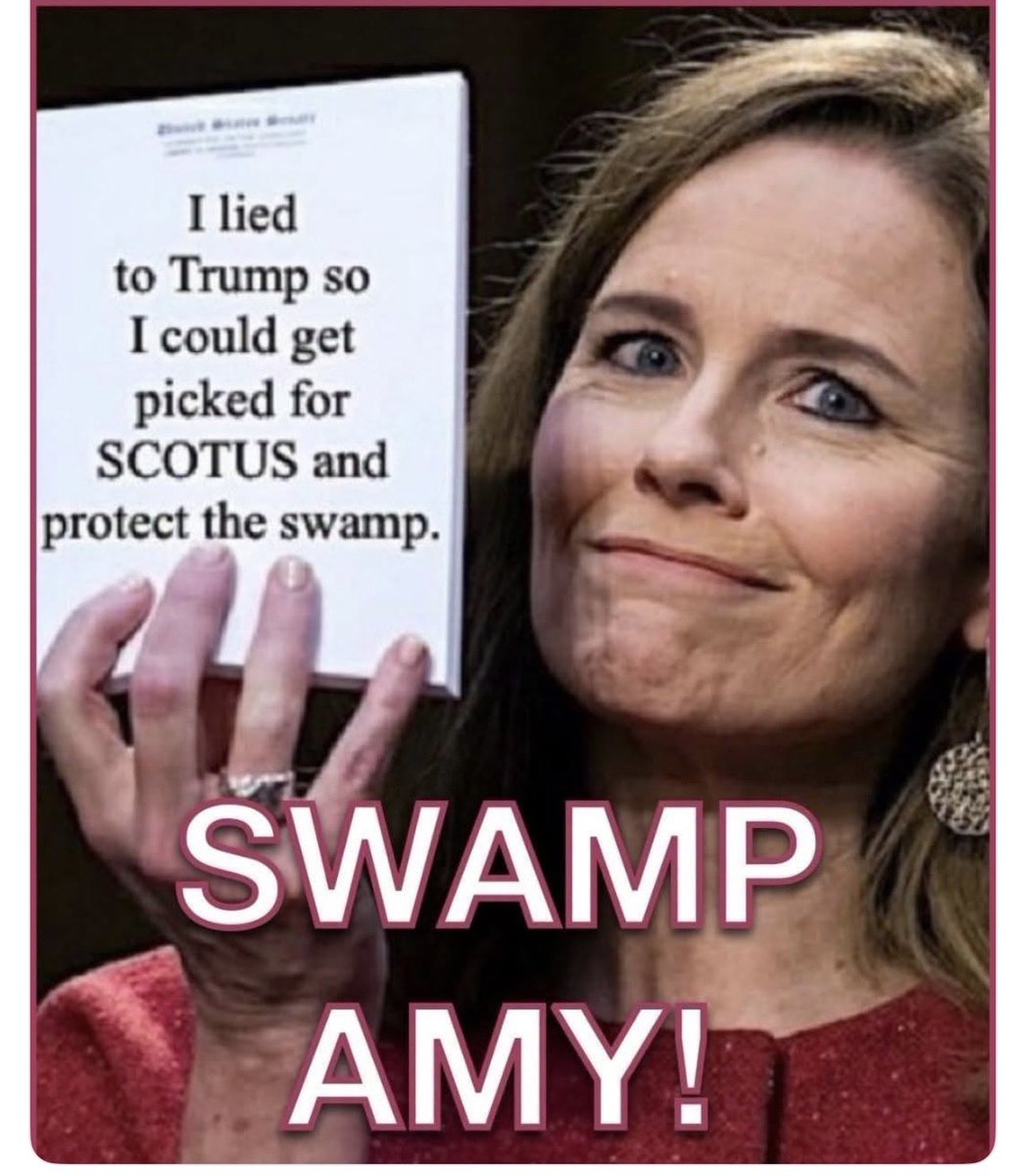 Sunkized01's tweet photo. I loathe this F-ing Bitch.  Treasonous traitor https://t.co/sDB2SSGHL8