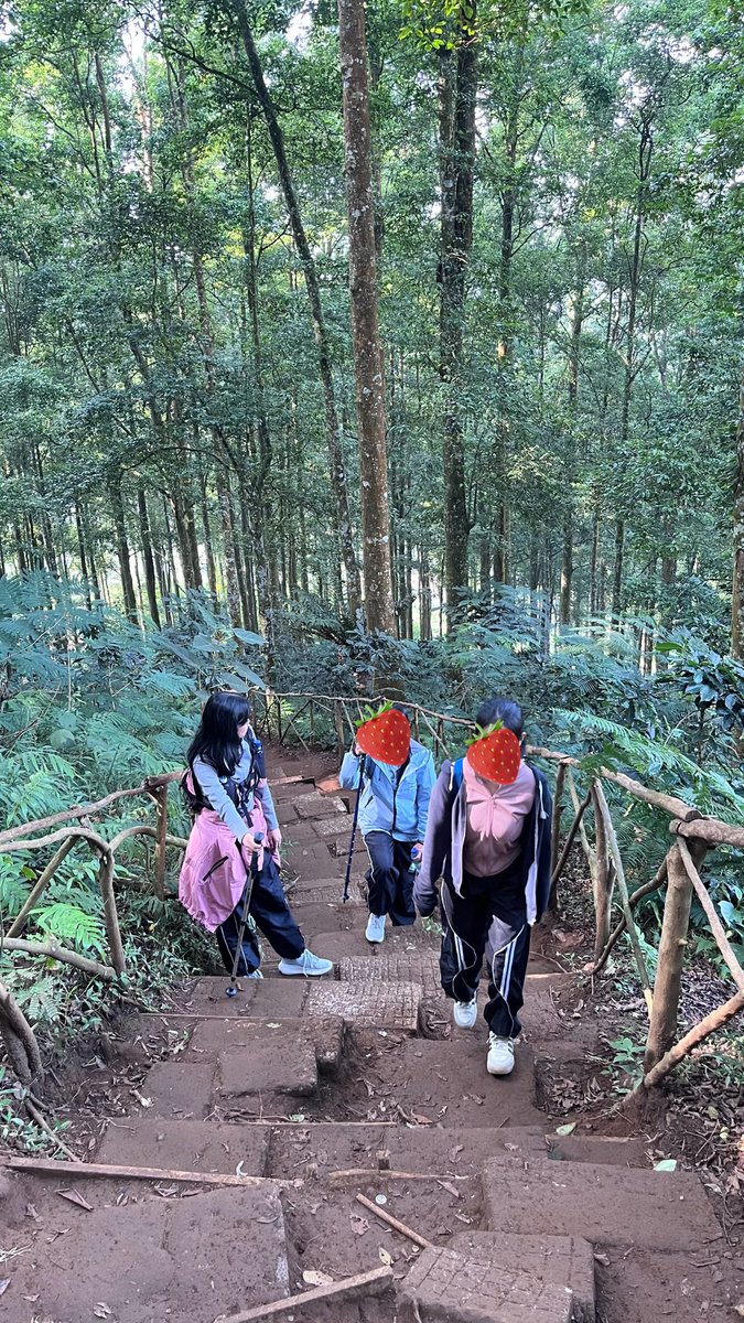 strav1e's tweet photo. luhurrr cakepp bgttt tapi knp dapet tembok🥰💔 https://t.co/eNYjV6c4up