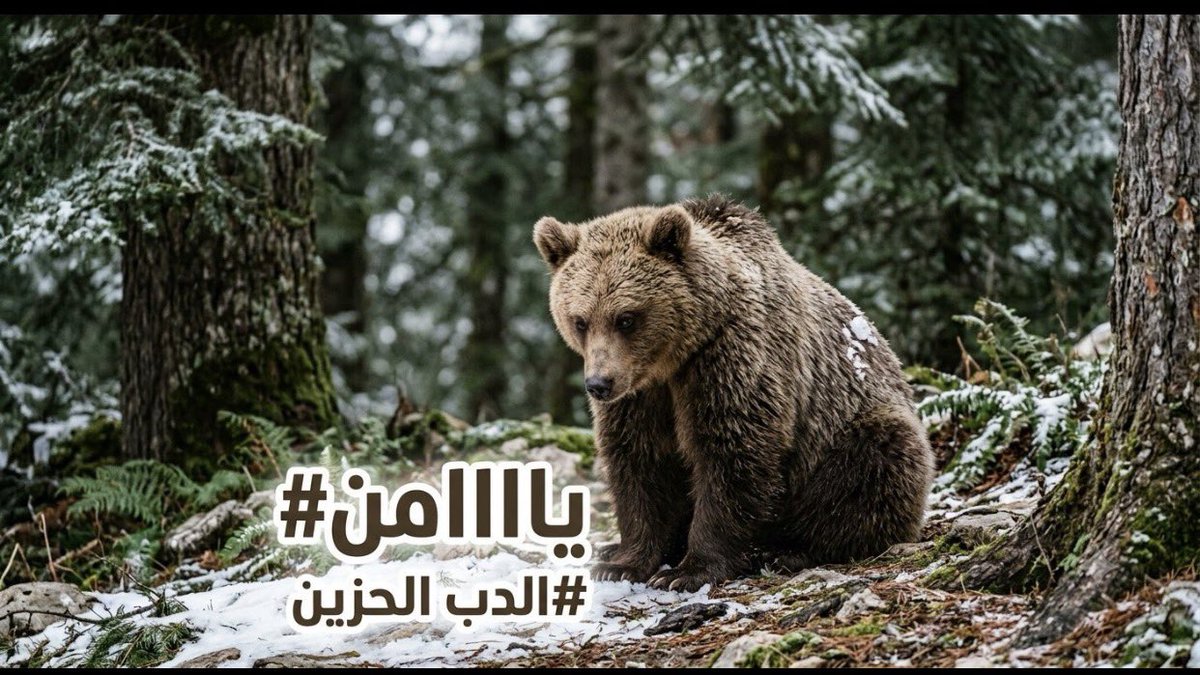 mn16222's tweet photo. @abo_faisal2023 @sc8485 https://t.co/9b0nJiAP2x