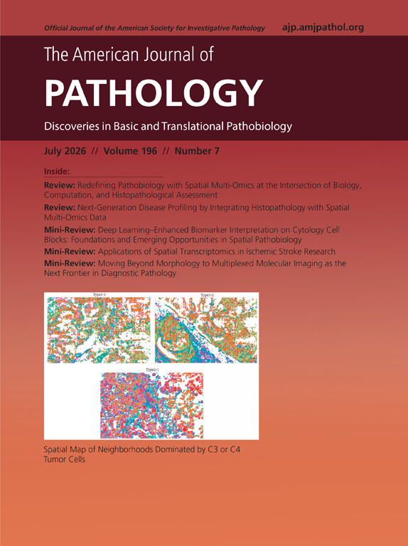The American Journal of Pathology tweet media