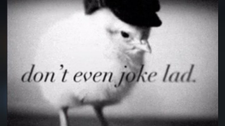 voidenmark's tweet photo. @Palak3312 The color 😍 https://t.co/04prrAvJUV