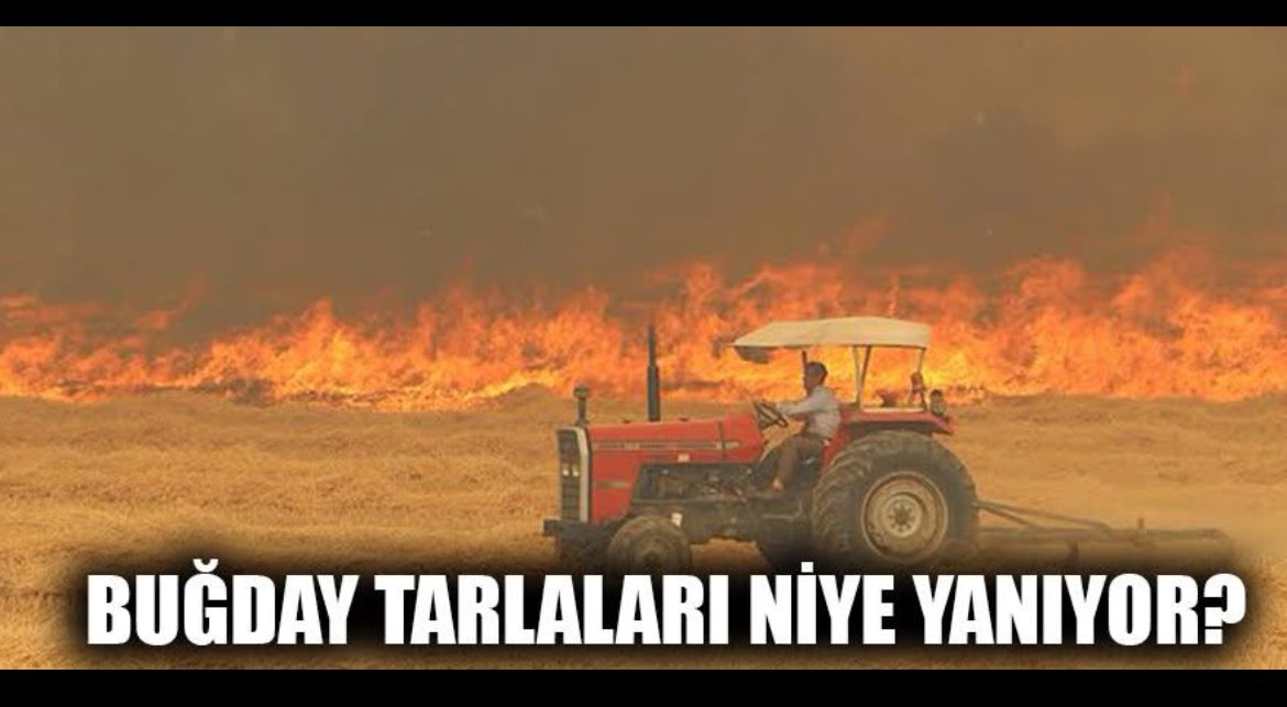 Recepsamuncu1's tweet photo. FARK ETMEK ADINA...

Gün be gün yurdun dört bir yanındaki buğday tarlaları yanıyor/yakılıyor. Kesimlik hayvanlarda toplu ölümler var. Şimdi de Fırat'ın suyuna tonlarca siyanür karıştı(rıldı). Fırat ile sulanan tarlalar-bahçeler zehirlenecek. https://t.co/uZ2ECLseEx