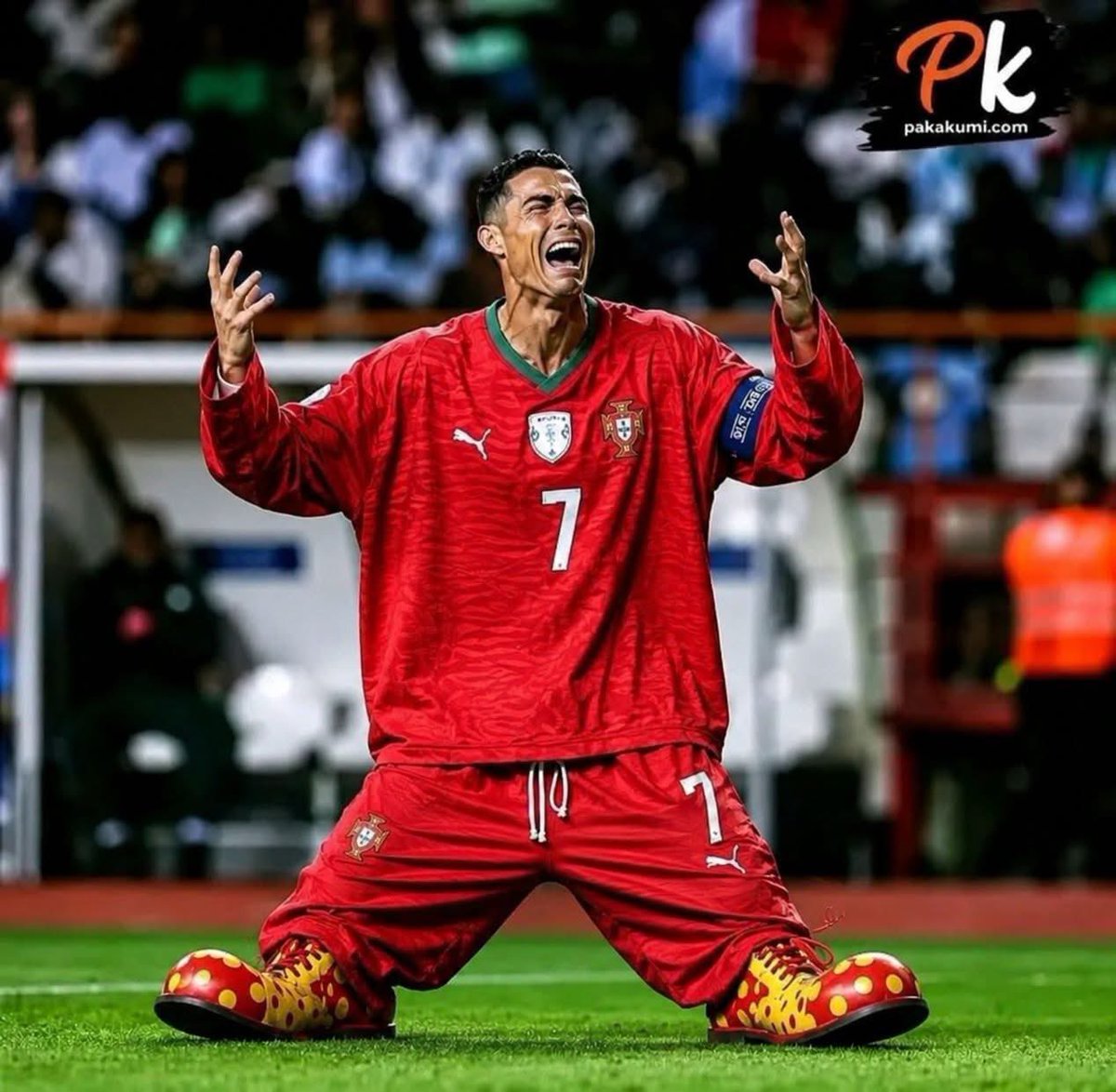 PenaldoTroll tweet picture