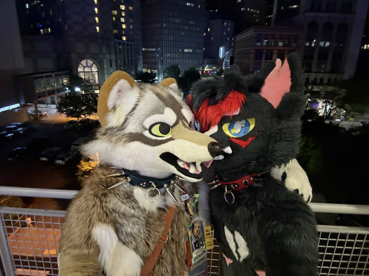 awoobark's tweet photo. throwback to #anthrocon memories 💛🐺🌙
#FursuitFriday https://t.co/aXsfnKqXYF