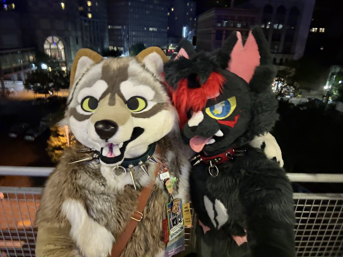 awoobark's tweet photo. throwback to #anthrocon memories 💛🐺🌙
#FursuitFriday https://t.co/aXsfnKqXYF