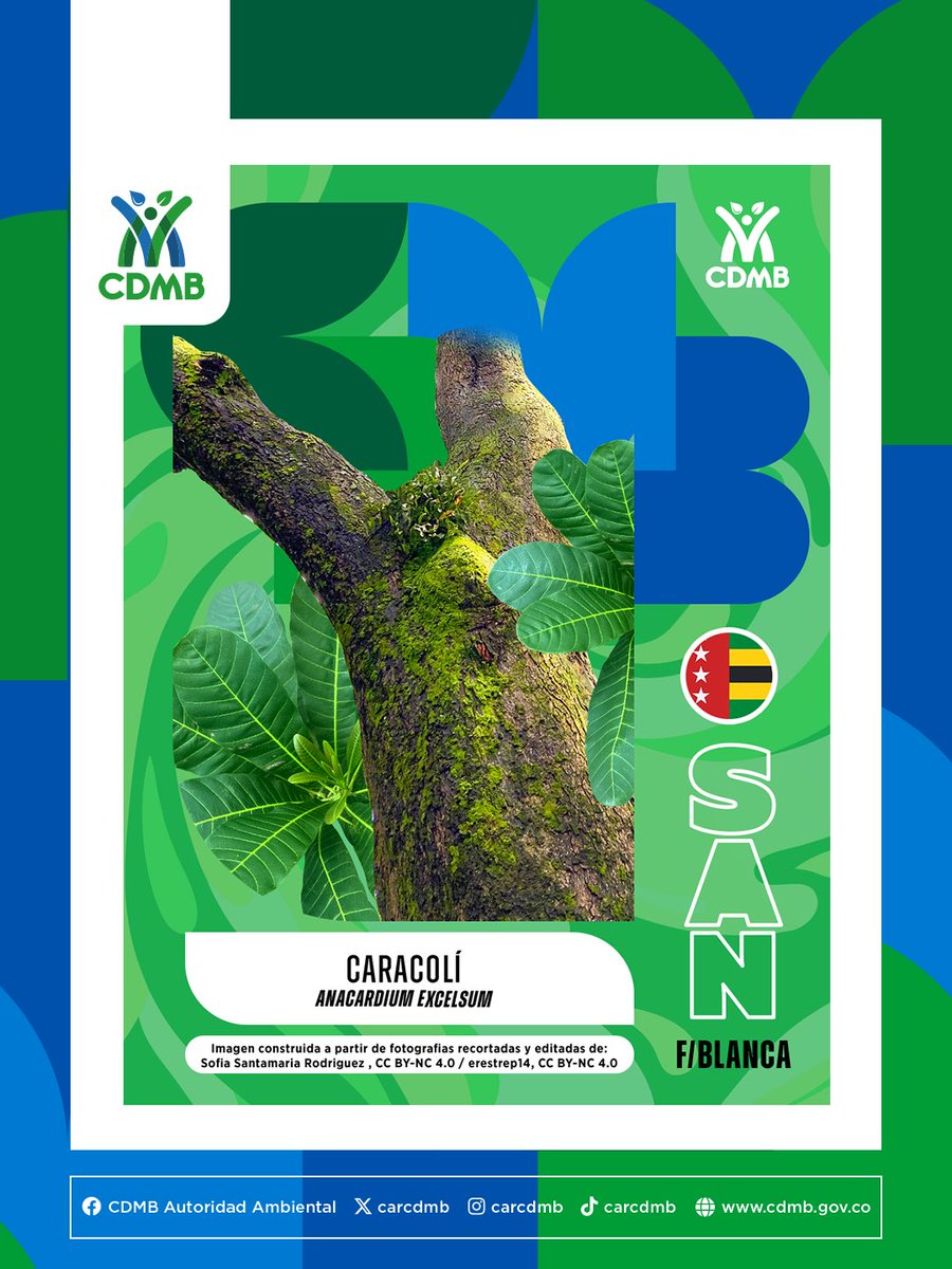 CARCDMB's tweet photo. 🦎⚽️🔥 ¡Vamos con toda por nuestra región! 🥳🇨🇴 🏆 Cuéntanos en los comentarios cuál es la especie crack que representa a tu municipio! 💬👇
#CDMB #Colombia #Santander #Biodiversidad 🇨🇴⚽️✨ https://t.co/GW2XI4YBb8