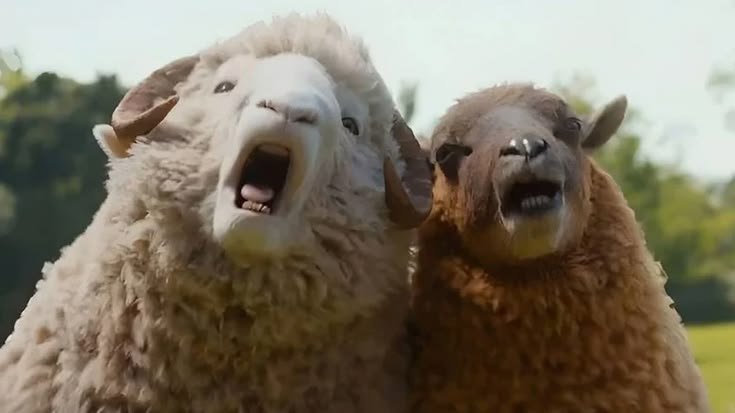 biggbadvampire's tweet photo. someone on the letterboxd called the sheep detectives 'eternal sunshine of sheepless mind' I'M CRYING https://t.co/84yD4LPnbO