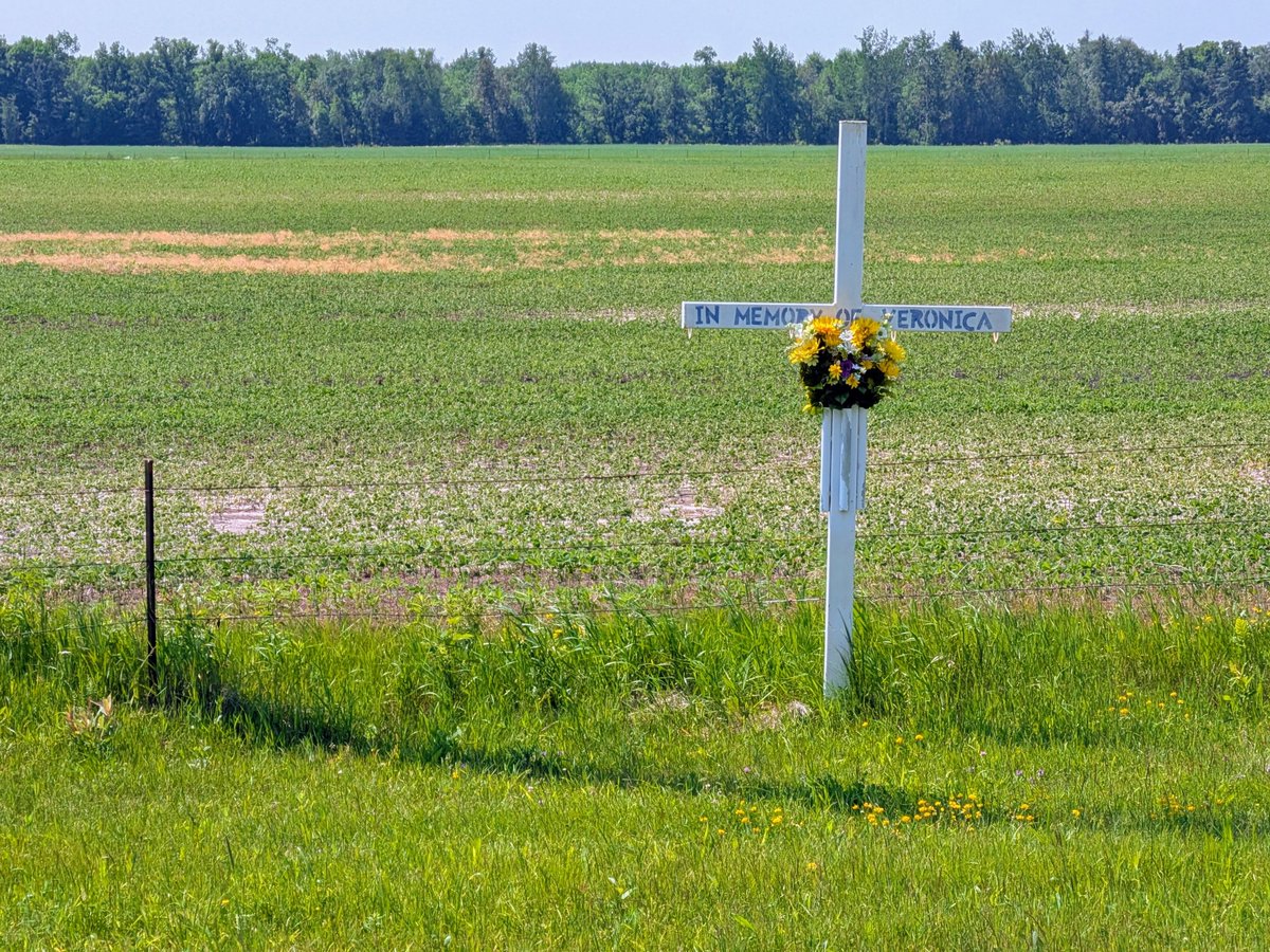 rubeishbin's tweet photo. along minnesota state highway 1 between northome and red lake https://t.co/E5Z4F4tFA8
