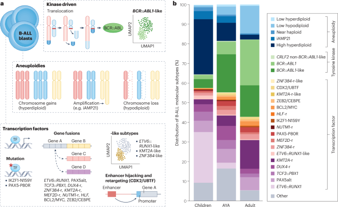 Nature Reviews Cancer tweet media