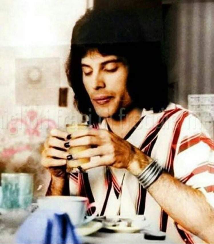 Dalma7127741's tweet photo. FABULOUS NIGHT EVERYONE 👑 FREDDIE MERCURY #QUEEN https://t.co/u2T4mY2PsX